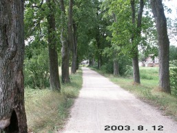 Palankesiu_a_jona_palankes_067-a8b4e7334b99596bb7628e5325270e76.JPG