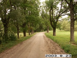 Palevenes-Pauliankos_a_kupi_palev_029-900aac3cd5cd44e3cb37c46da0341110.JPG