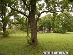 Palevenes-Pauliankos_a_kupi_palev_030-8b6f1aa2a88ef04a63fd9d626e1a50dd.JPG