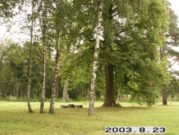 Palevenes-Pauliankos_a_kupi_palev_031-f23bb4fc9a0d31d59da19481d313d006.JPG