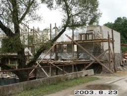 Palevenes-Pauliankos_a_kupi_palev_064-3930981270a05fb015d621c87c30496e.JPG