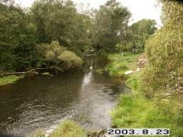 Palevenes-Pauliankos_a_kupi_palev_065-07e64b0cfaf8d34978c528d98648b045.JPG
