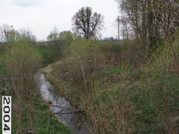 Paliesiu_a_siau_palie_084-6ffe8271436901d15cc4ce8e288c6e66.JPG
