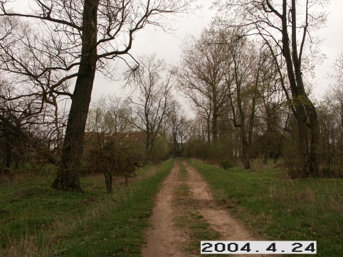 Palonu_a_radv_palo_032-78efe99d6e4eed87142988acd213258a.JPG