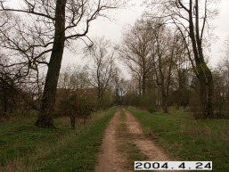 Palonu_a_radv_palo_032-b2d44490d710e6365533f237e7fb7c0f.JPG