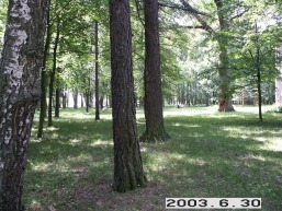 Paneriu_a_traku_paner_057-4b9e75c492e814a1c7419c9718188e2b.JPG