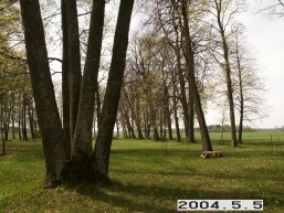 Paragiu_a_akme_para_096-db09ac1d32447a59f6f4e1dd1e1d91da.JPG
