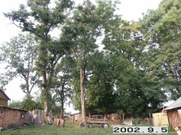Parudines_a_mole_paru_005-ca781f8f797589ed350fa3d2d5e8f317.jpg