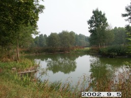 Parudines_a_mole_paru_006-465112b2348ba4efe72c16f81832e386.jpg
