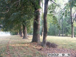 Parudines_a_mole_paru_012-74e945f51df2526034b202c3e7c7d3fc.jpg