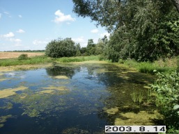 Pasumerio_a_keda_pasumer_065-753698635f4df0525c3d7328bd91ab0f.JPG