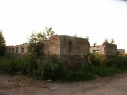Patilciu_a_vilk_pati_046-5b79339f4cd92c5c7d027411cbc31186.JPG