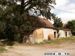 Paupio-Bachmano_a_klai_paup_074-6469f1dd7d549ec527c3b66c7ecf4c7c.JPG