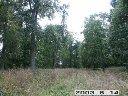 Pavermenio_a_keda_paver_090-7637e16999003339cf005abd033057da.JPG