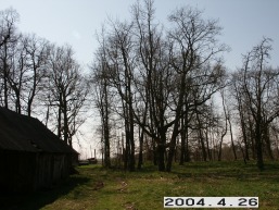 Pavezgiu_a_pakr_pave_068-222fc9320c9fec6f3670d28b377a7098.JPG