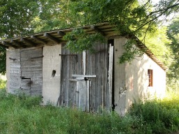 Pavilkijo-Mikytu-Nosiedo_a_saki_pavi_020-84a19eefa75a598a085d89a7e593ee7e.JPG