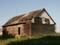 Pavilkijo-Mikytu-Nosiedo_a_saki_pavi_022-05aa0661afe844059758b080c32bbc55.JPG