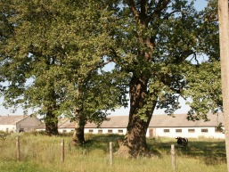 Pavilkijo-Mikytu-Nosiedo_a_saki_pavi_027-e4d26fa338e84e02bd753732da5b3f1e.JPG