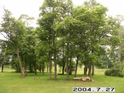 Pavirvycio_a_tels_pavi_030-a5a9a240996500a19c8948084d07b13c.JPG