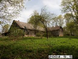 Pavirvytes_a_akme_pavi_017-3d38f638d6e8f91b49ae0f08b5252d06.JPG