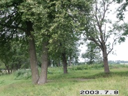 Perunu_a_viln_perun_007-8327255a27e5136af60f5229fbcc8eeb.JPG
