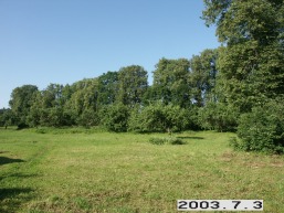 Petesos_a_viln_petes_037-6bd467143765ffe6fd79a93ac98139e4.JPG