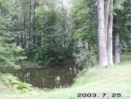 Petkeliskiu_a_prie_petkel_066-8c5ba52c367796a61cc2c93dc6743d75.JPG