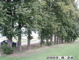 Petrosiskio_a_roki_petros_072-a399451b31952f95803cf6c83b114f35.JPG