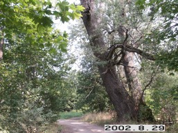 Pienioniu_a_anyk_pienio_006-293d9ad042115e657630edac4080e0c2.jpg