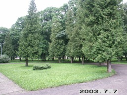 Pikeliskiu_a_viln_pikelis_090-f8a62c47b7e07b20498269f96fb8fed4.JPG