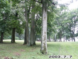 Pikeliskiu_a_viln_pikelis_096-43a54ab865a20108f66b5938de6e93e0.JPG