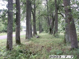 Pikeliskiu_a_viln_pikelis_102-27d8b0864d02e54369a4d0b51763aaeb.JPG