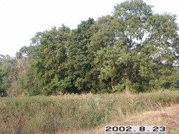 Pizanino-Pusku_a_igna_pizan_006-2b4ce4d23f10dce87694b493a58539b6.jpg