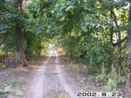 Pizanino-Pusku_a_igna_pizan_008-30e04df52e3534ec64c837a3347e674d.jpg