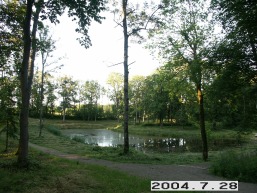 Plateliu_a_plun_plat_091-e9e936a94ffa58b59583372ac466c2ec.JPG