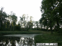 Plateliu_a_plun_plat_092-c1869cb0d5563d7cf17e7069dd154d25.JPG