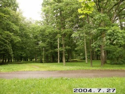 Plinksiu_a_maze_plin_068-50586d045763f634705d7ca05d48db70.JPG