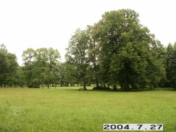 Plinksiu_a_maze_plin_084-e950b3a077096f563f11a38b835e9f5d.JPG
