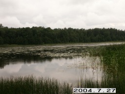 Plinksiu_a_maze_plin_086-a82a8afb3bae29145c56447d809b53eb.JPG