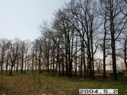 Plonenu_a_pakr_plon_062-9f037f3fe11c65ceaf8677fcbd07bf2c.JPG
