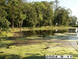 Plunges_a_plun_plun_012-237764c73eec5594f02689cf77d02599.JPG