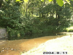 Plunges_a_plun_plun_055-afe0eb259da59b92e1a12705010ab57b.JPG
