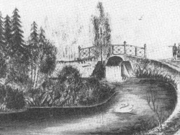 Plunges_a_plun_plun_104-5b23cdfd1ee4cef0fbe35c6281d10832.jpg