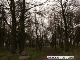 Polekeles-Daujotavos_a_radv_pole_048-5674833244f74f2fc277b69fd4c29fcb.JPG