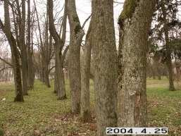 Polekeles-Daujotavos_a_radv_pole_051-d42860213f10974da54ed2a8793c8a56.JPG
