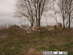 Polekeles-Daujotavos_a_radv_pole_055-05da83aaf31f32a63b22f057b65bef6b.JPG