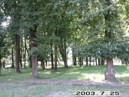Prienu_a_prie_prien_095-e1a3dd8a0fda54921e7aee9628b4d4f8.JPG