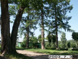 Prudiskiu_a_viln_prudis_069-0afb97a465e9f661b71a3ca8d5b71d41.JPG