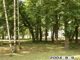Prysmanciu_a_kret_prys_104-26aa2aac798a92dfed42da64fb78878d.JPG