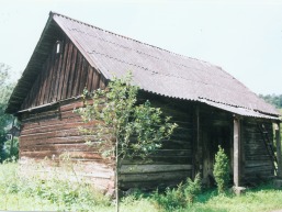 Puckoriu_a_viln_pucko_007-b1ba873769cf1ff1fcd4a3c38e089577.jpg